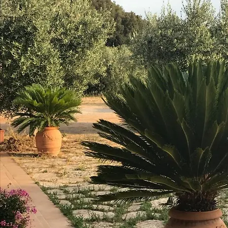 Stella D'argento